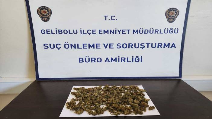 Sırt çantasından 90 gram skunk çıktı: 2 gözaltı