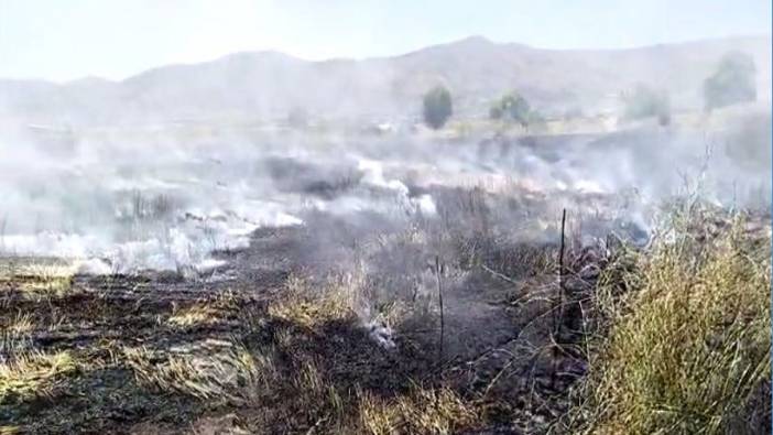 Elazığ’da 10 dönüm tarım arazisi yandı