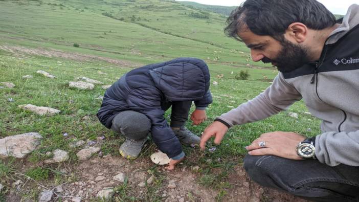 Ardahan’da yağışların ardından "mantar" bereketi