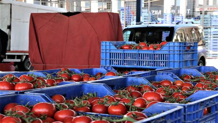 Antalya’da domates miktarı azaldı, fiyat endeksi arttı