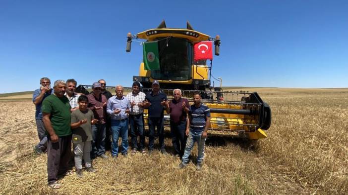 Konya Kulu'da arpa-buğday hasadı başladı