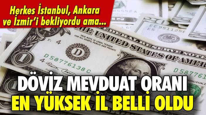 Döviz mevduat oranı en fazla olan il ortaya çıktı!