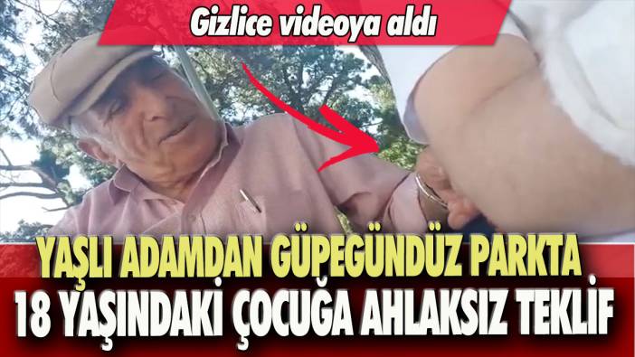 Yaşlı adamdan güpegündüz parkta 18 yaşındaki çocuğa ahlaksız teklif: Gizlice videoya aldı