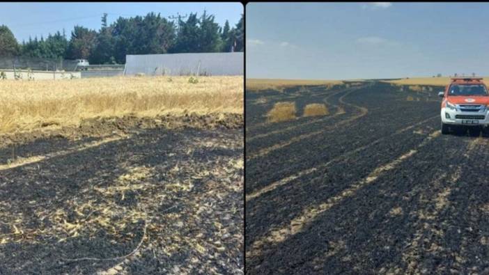 Tekirdağ'da tarlada yangın: 15 dönüm alan zarar gördü