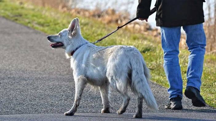 ABD'de 8 yıl önce köpek gezdirdiği sırada kaybolan çocuk bulundu