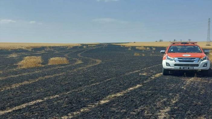 Tekirdağ’da 15 dönüm buğday kül oldu