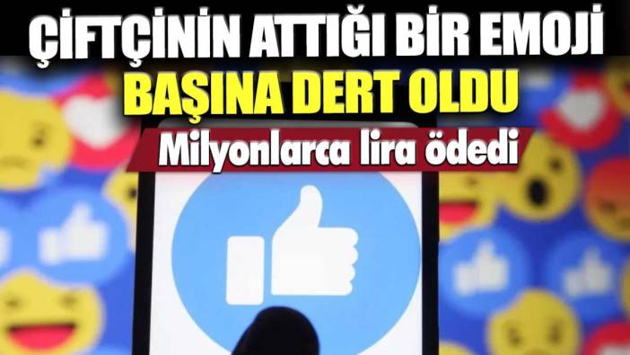 Emoji atarken bir daha düşünün! Bir çiftçi attığı bir emoji yüzünden 56 bin 500 Euro ödedi