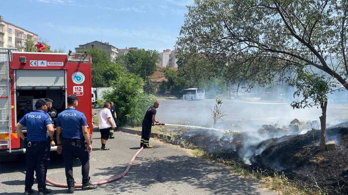 Tekirdağ'da ağaçlık alan alev alev yandı