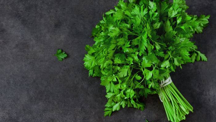 Rüyada maydanoz görmek ne anlama geliyor