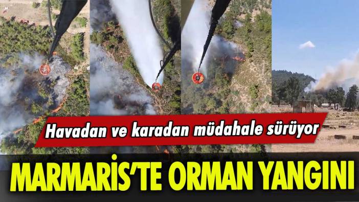 Marmaris’te orman yangını: Havadan ve karadan müdahale sürüyor