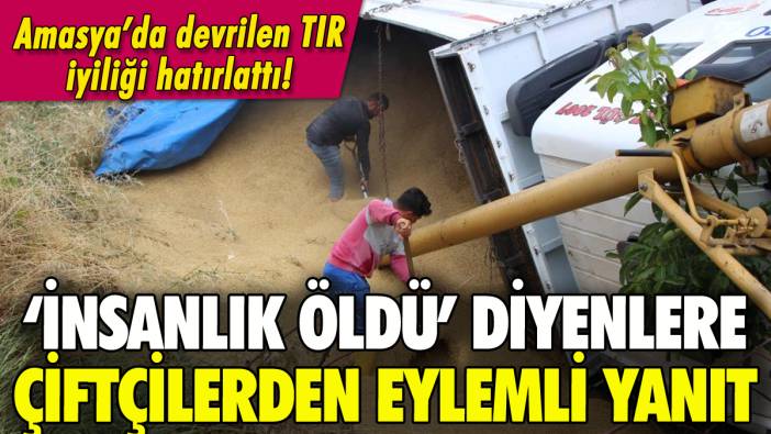 Amasya'da devrilen arpa yüklü TIR insanlığı ortaya çıkardı!