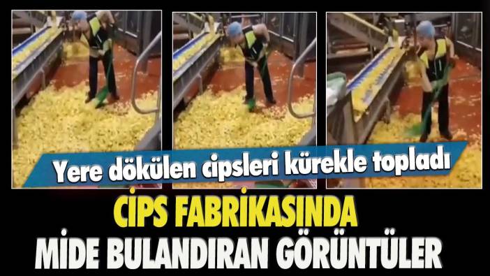 Cips fabrikasında mide bulandıran görüntüler: Yere dökülen cipsleri kürekle topladı