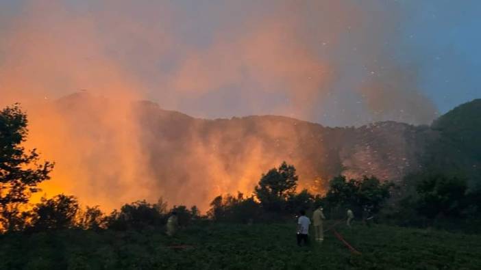 Mersin'de orman yangını kontrol altına alındı