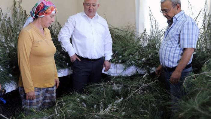 İpekböcekçiliği, kadın üreticilerin ellerinde yeniden canlandı