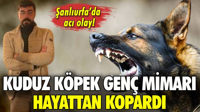 Şanlıurfa'da kuduz köpek genç mimarı hayattan kopardı