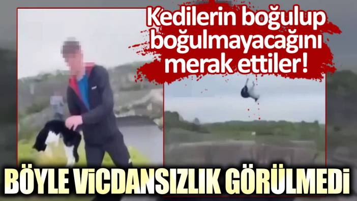 Kedilerin boğulup boğulmayacağını merak ettiler! Böyle vicdansızlık görülmedi