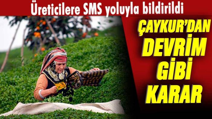 Üreticilere SMS yoluyla bildirildi: Çaykur'dan devrim gibi karar