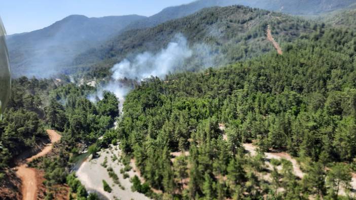 Bir kez daha: Muğla'da orman yangını!