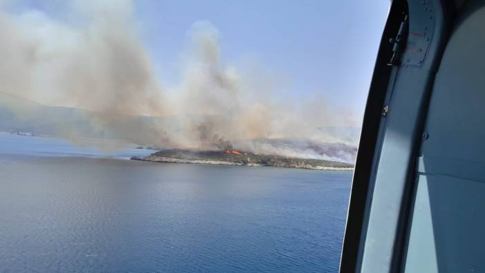 İzmir'de makilik alanda yangın!