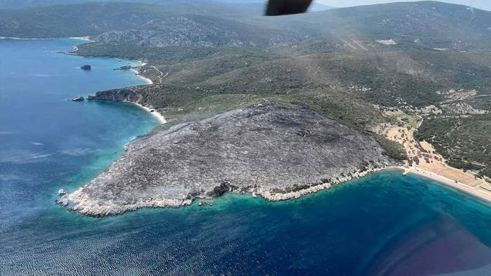 İzmir'de makilik alanda çıkan yangın kontrol altında