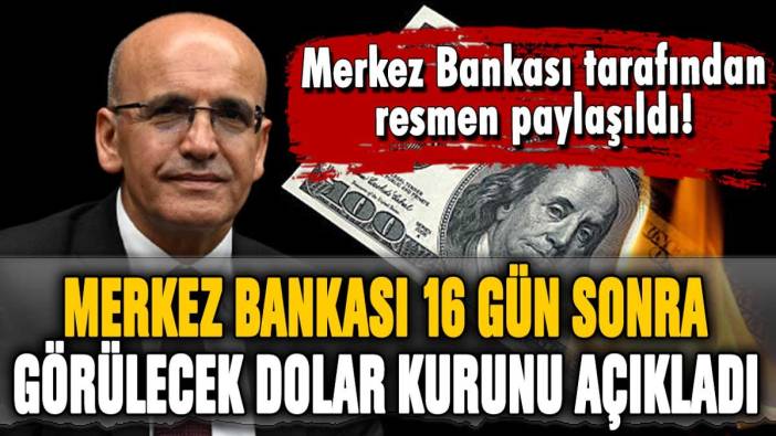 Merkez Bankası resmen açıkladı: İşte 16 gün sonra görülecek dolar kuru