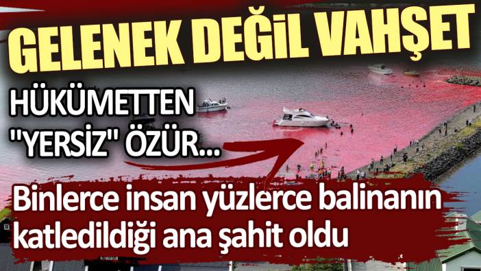 Faroe Adaları'nda binlerce insan yüzlerce balinanın katledildiği ana şahit oldu: Hükümetten "yersiz" özür açıklaması!