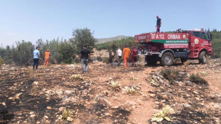 Antalya'da çalılık alanda çıkan yangın korkuttu