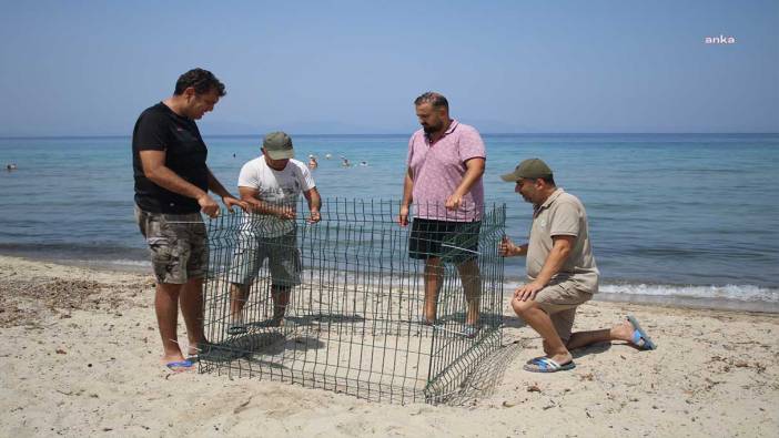 Kuşadası plajları, caretta carettaların yuva alanı oldu