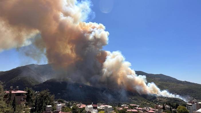 Hatay'da orman yangını!