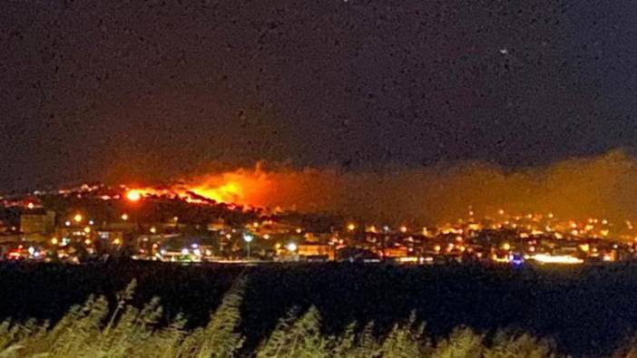 Ayvalık'ta yerleşim yeri yakınında çıkan yangın söndürüldü