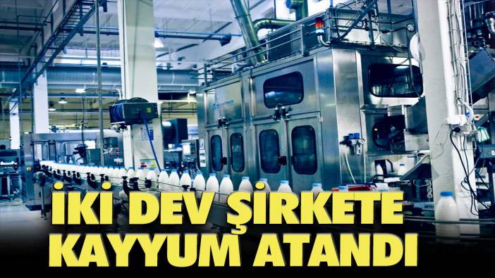 İki dev şirkete kayyum atandı