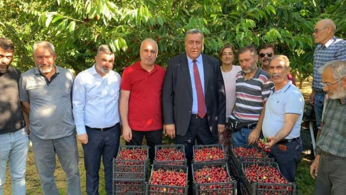 Kiraz üreten çiftçi isyan etti: Yanlış politikalar yüzünden, dış ilişkiler bozuk, ihracat yok