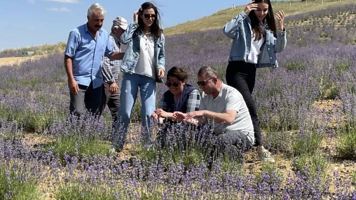 Fransa'da yaşayan gurbetçi "lavanta bahçesi" hayalini Yozgat'ta gerçekleştirdi