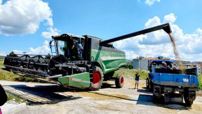 Samsun'da buğday hasadı başladı