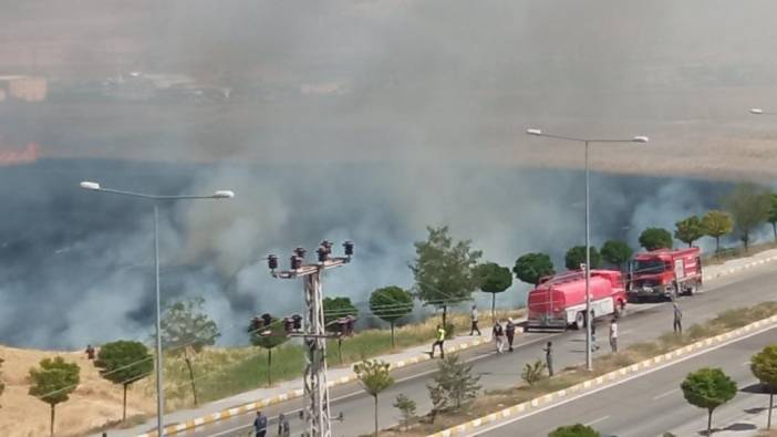 Van'da buğday tarlası alev alev yandı