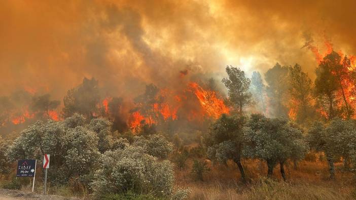 Astım ve KOAH hastaları için yeni tehlike