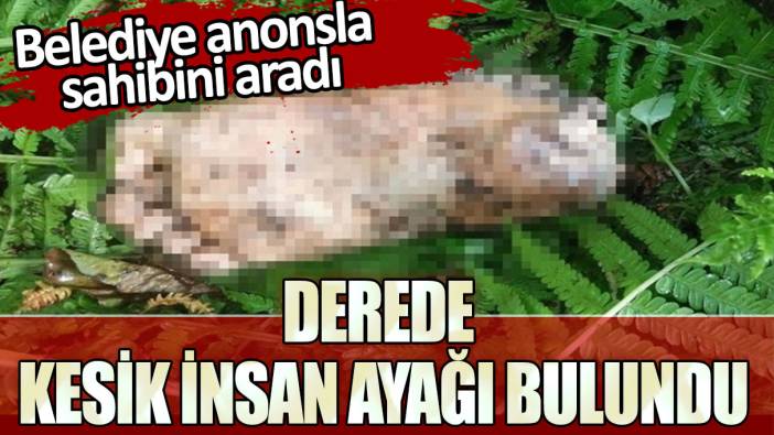 Derede kesik insan ayağı bulundu: Belediye anonsla sahibini aradı