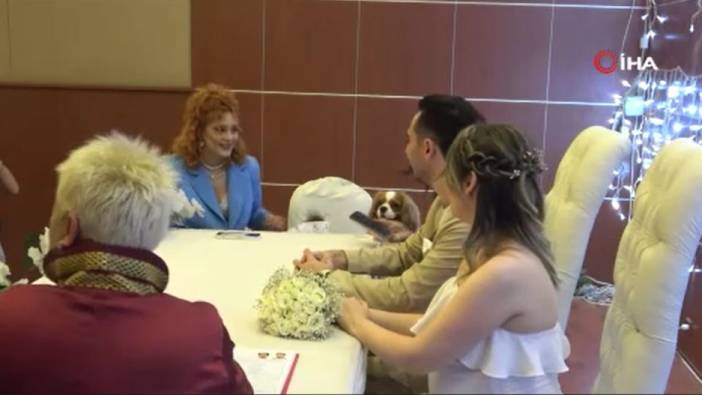 Rus gelin ve Türk damadın köpekleri nikah şahidi oldu