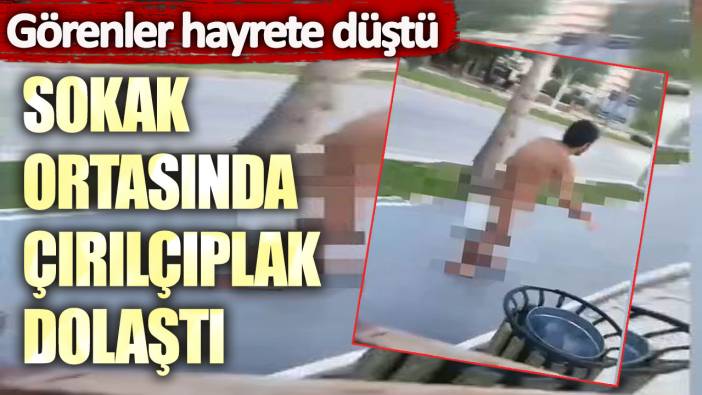 Sokak ortasında çırılçıplak dolaştı: Görenler hayrete düştü