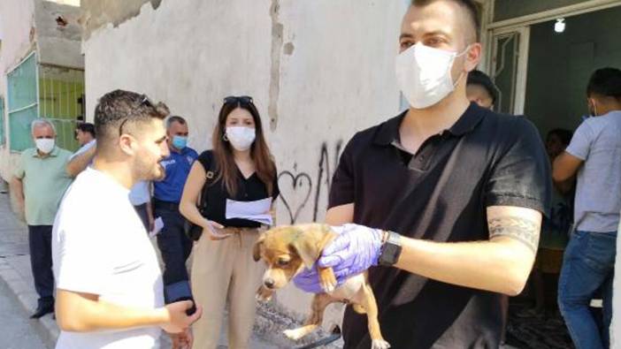 İzmir'de evde ticareti yapılan köpekler kurtarıldı