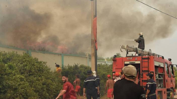 Cezayir’de orman yangını: 15 ölü!