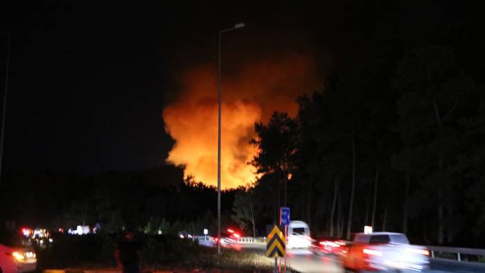 Antalya'da çıkan yangın kontrol altına alındı