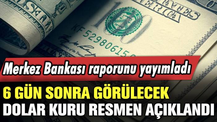 Merkez Bankası raporunu yayımladı: 6 gün sonra görülecek dolar kuru belli oldu