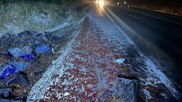 Kamyonet refüje devrildi! 3 ton vişne caddeye döküldü!