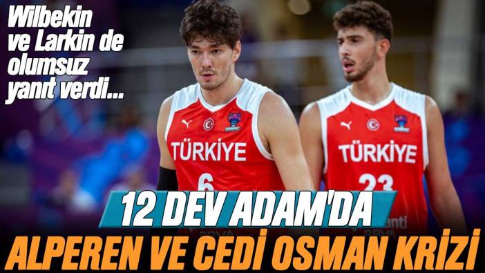 12 Dev Adam'da Alperen Şengün ve Cedi Osman krizi