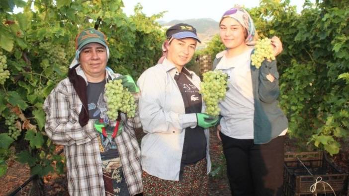 Erken hasat üzümde ilk ihracat tırı yola çıktı