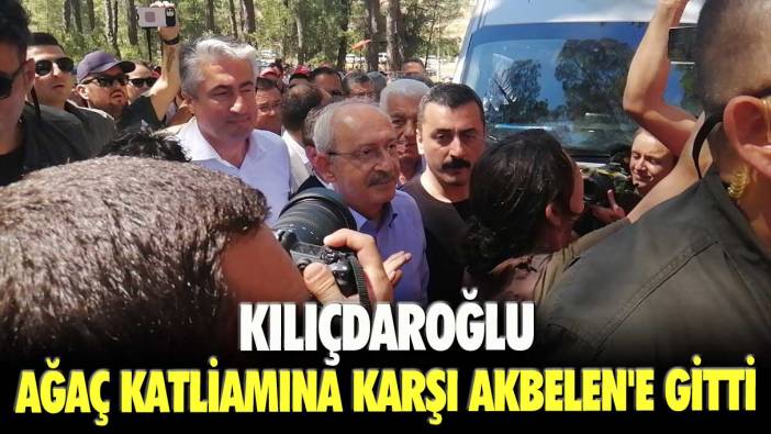 Kılıçdaroğlu ağaç katliamına karşı Akbelen'de!