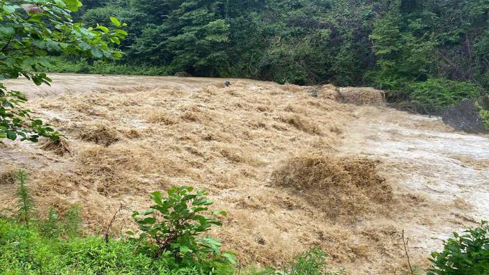 Rize'de sağanak! Derelerin su seviyesi yükseldi