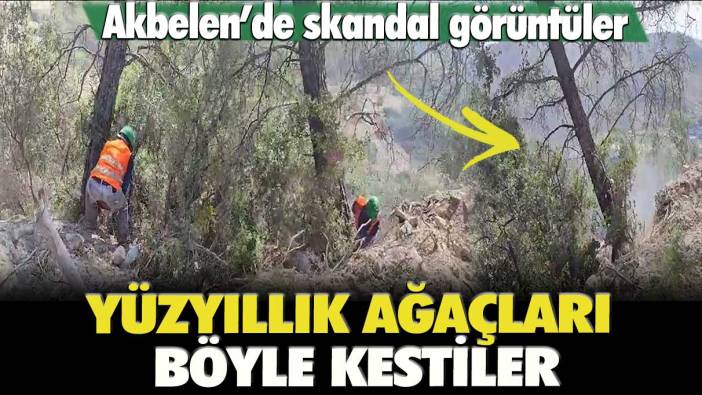 Akbelen’de skandal görüntüler: Yüz yıllık ağaçları böyle kestiler