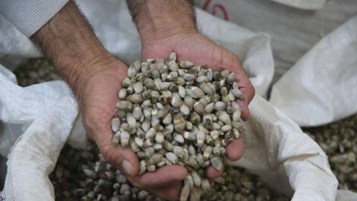 Kengerden Hakkari'ye 2 milyon dolarlık katkı